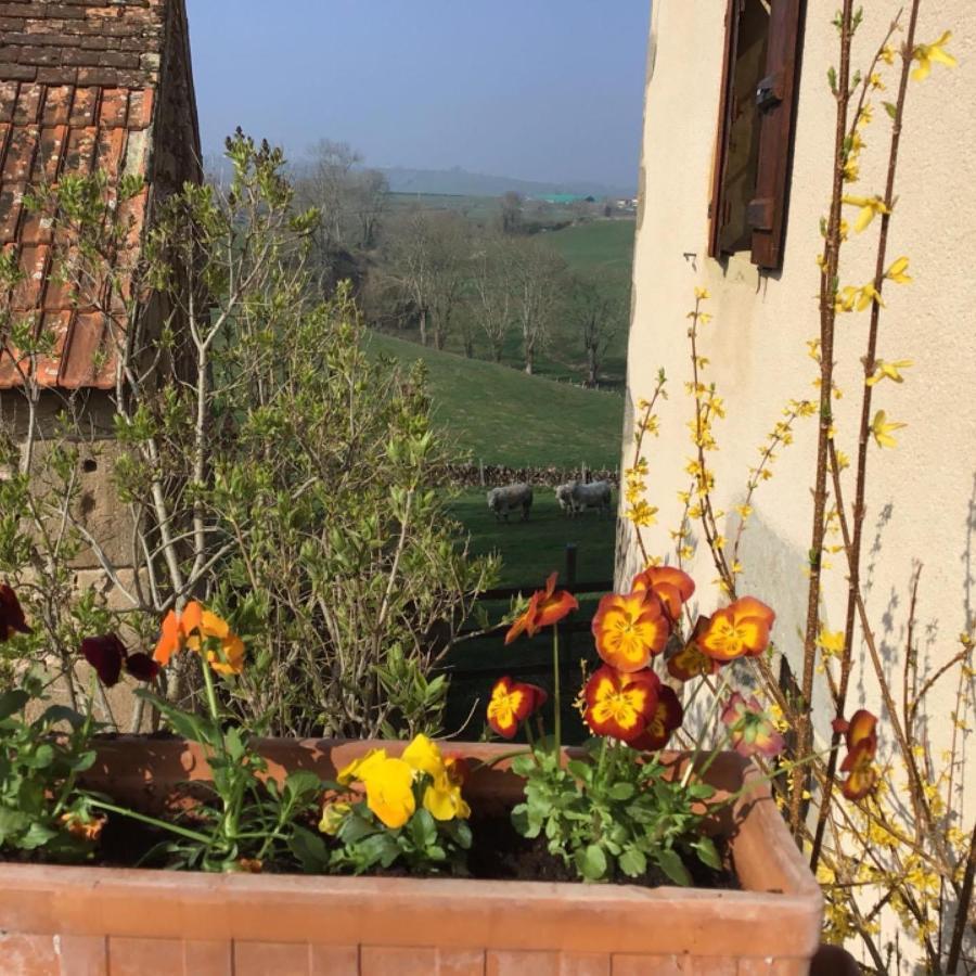 Gite Le Mur Magnifique Longere Au Bourgogne-Du-Sud Villa Oye Екстериор снимка